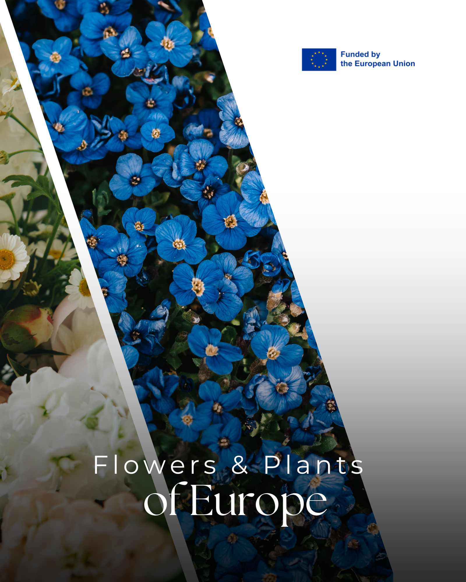 Flowers & Plants of Europe